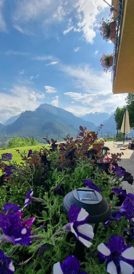 Lo Noyer Et Les Roses Bed & Breakfast Saint-Nicolas Dış mekan fotoğraf
